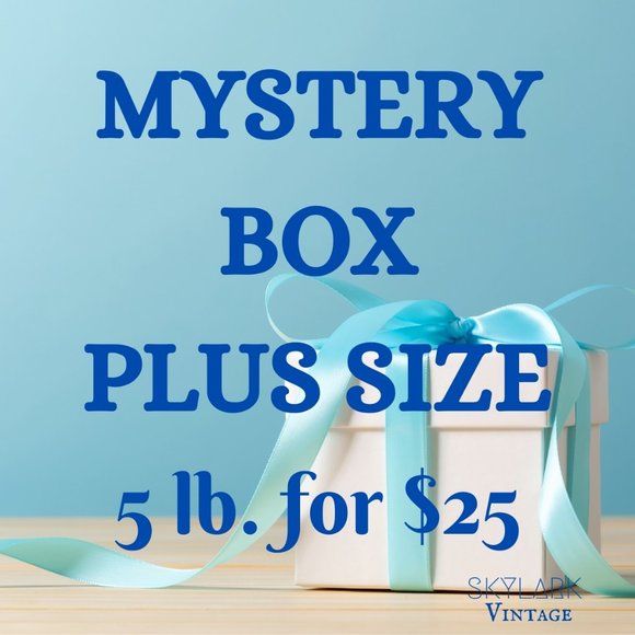 Assorted Other - RESELLERS Women's Plus Size Mystery Box!